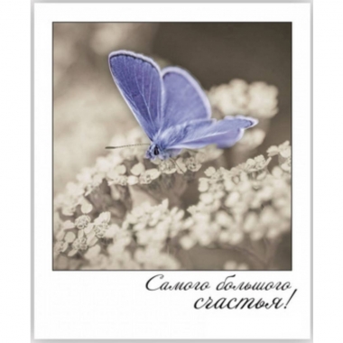 Открытка-фотокарточка (10,5х9см). "Самого большого счастья!", Стильная Открытка, РБ
