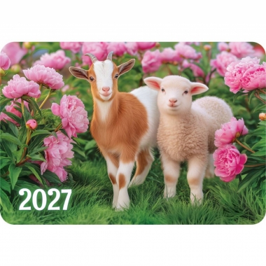 Карманный календарь 2027 "Символ года",  РФ