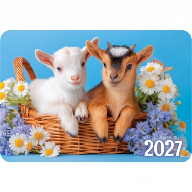 Карманный календарь 2027 "Символ года",  РФ