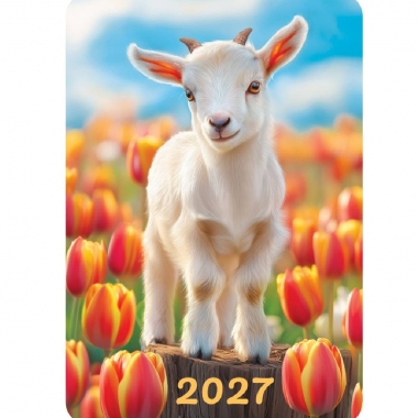 Карманный календарь 2027 "Символ года",  РФ