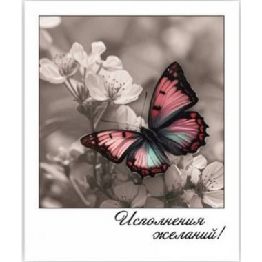 Открытка-фотокарточка (10,5х9см). "Исполнения желаний!", Стильная Открытка, РБ