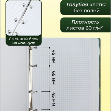 Тетрадь А5+, 160л./кл., (на кольцах) "ЕДИНЕНИЕ С ПРИРОДОЙ", "Prof-Press", РФ