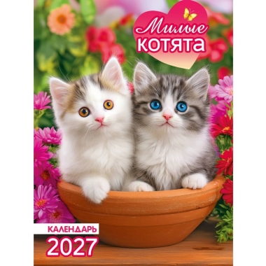 Календарь на магните А6, "Милые котята",  ООО "Белая ворона", РФ
