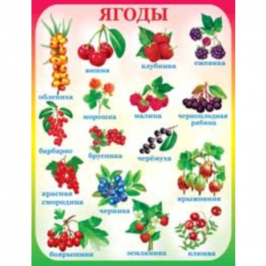 Плакат А2,  Ягоды,  АВ-Принт, РФ