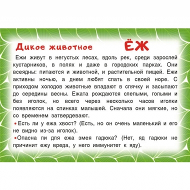 Карточки обучающие "Животные" (36 шт), 1+, Принт Плюс