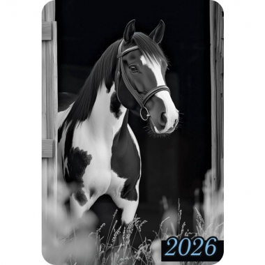 Календарь карманный "Символ года",  РФ