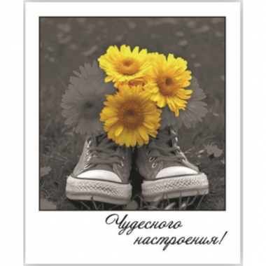 Открытка-фотокарточка (10,5х9см). "Чудесного настроения!", Стильная Открытка, РБ