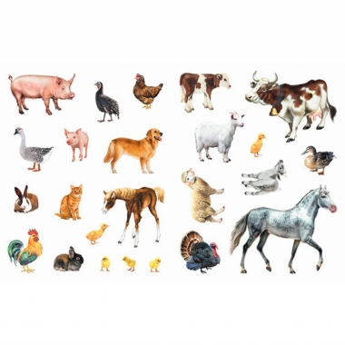 Многоразовые наклейки А4, ДОМАШНИЕ ЖИВОТНЫЕ, Фламинго