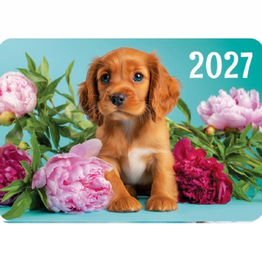 Карманный календарь 2027 "Собака",  РФ