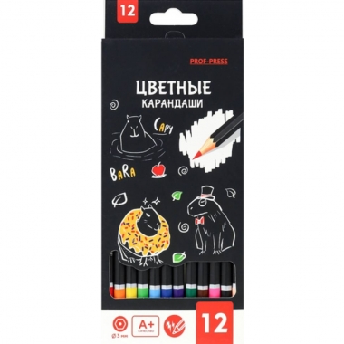Карандаши цветные 12 цв., дерев., 2М "КАПИБАРЫ", "Prof-Press", РФ/ пр-во: Китай