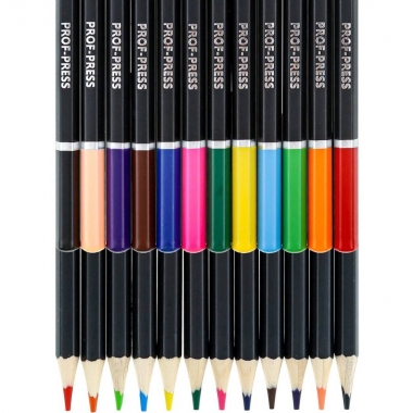 Карандаши цветные 12 цв., дерев., 2М "КАПИБАРЫ", "Prof-Press", РФ/ пр-во: Китай