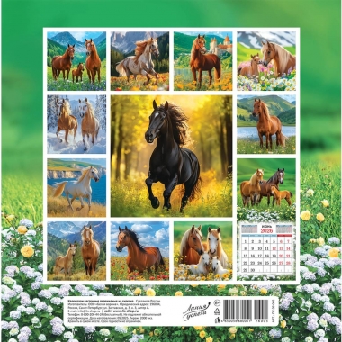 Календарь перекидной на скрепке, картон, 23х23,5 см. "Символ года (фото). Милые лошади", РФ
