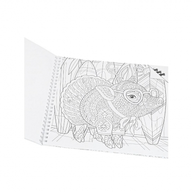 Раскраска "ЖИВОЙ МИР. Найди кота" 32л., 215х215мм., "Prof-Press", РФ