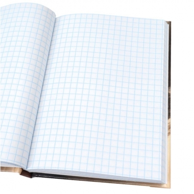 Записная книжка А6 80л., клетка, "ЛЯГУШКА", "Prof-Press", РФ