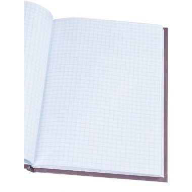 Записная книжка А5, 80л./кл., "ПОРТРЕТ ДЕВУШКИ - 2", "Prof-Press", РФ