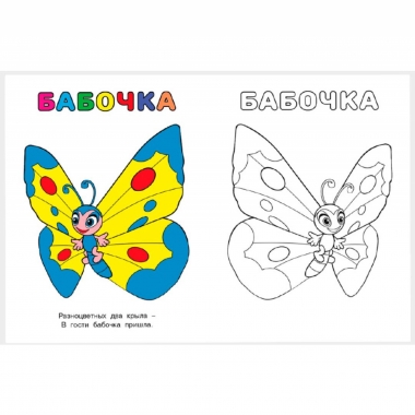 Узнай и раскрась. БАБОЧКА, "Фламинго", РФ