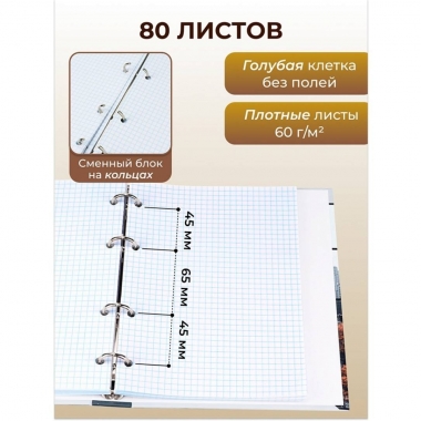 Тетрадь 80л./кл., (на кольцах) "ВЗГЛЯД НА МИР", "Prof-Press", РФ