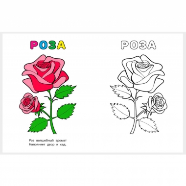 Узнай и раскрась. ЦВЕТЫ,  "Фламинго", РФ