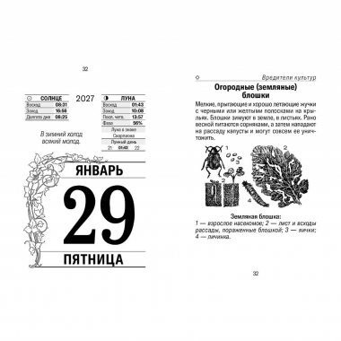 Календарь отрывной на 2027г. "Наша дача", РФ