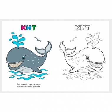 Узнай и раскрась. КИТ "Фламинго", РФ