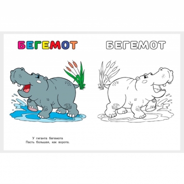 Узнай и раскрась. ТИГР,  "Фламинго", РФ