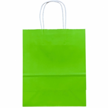 Пакет 22х27х11 см. бумажный однотонный "САЛАТОВЫЙ", Китай