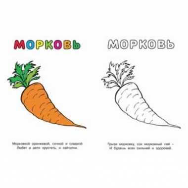 Узнай и раскрась. ПОМИДОР, "Фламинго"