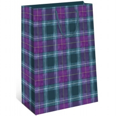 Пакет 18х22,3см., КЛЕТКА, "Арт&Дизайн", РФ/пр-во:Китай