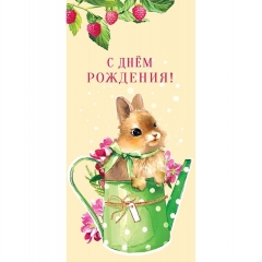 Конверт д/денег "С Днём Рождения" (810), Арт&Дизайн. РФ