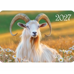Карманный календарь 2027 "Символ года",  РФ