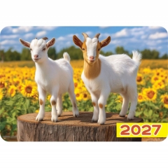 Карманный календарь 2027 "Символ года",  РФ