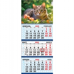 Календарь 2025 кварт. трёхблочный стандарт "Кошки. Усатый-полосатый", РФ