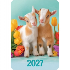 Карманный календарь 2027 "Символ года",  РФ