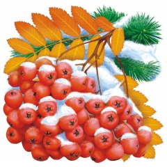 Украшение на скотче (10шт), 15х15см., "Рябина в снегу"( двусторонняя печать), РФ