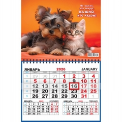 Календарь  одноблочный "Кот и пёс. Важно, кто рядом", Принт Плюс, РФ