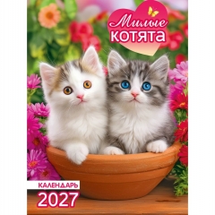 Календарь на магните А6, "Милые котята",  ООО "Белая ворона", РФ