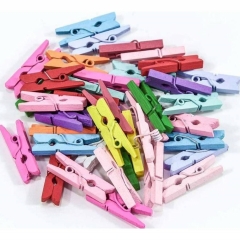 Цветочный аксессуар декор. "Прищепки цветные" 2,5х0,7х0,3см., (100 шт), OMG gift, Китай