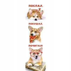 Закладки "Собаки",  РФ