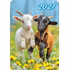 Карманный календарь 2027 "Символ года",  РФ