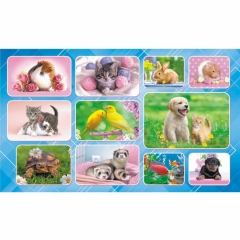 Наклейки д/украшения А6 (20шт.)  "Домашние любимцы", "Принт Плюс"(Лис), РФ