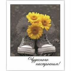 Открытка-фотокарточка (10,5х9см). "Чудесного настроения!", Стильная Открытка, РБ