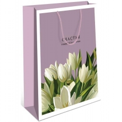 Пакет 33х42,5 см., "Счастья...", "Арт&Дизайн",  РФ/пр-во:Китай Пакет 33х42,5 см., "Счастья...", "Арт&Дизайн",  РФ/пр-во:Китай