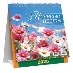 Календарь-домик  перекидной А6. "Полевые цветы", ООО "Белая ворона", РФ