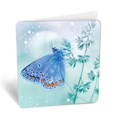 Мини-открытка Без текста (7,1х7см), АВ-Принт, РФ