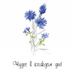 Мини-открытка в букет одинарн., 7х7см. "Чудес в каждом дне!", "Стильная Открытка", РБ