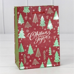 Пакет 14х20х8см. "Новый год" 210г/м2, в асс, OMG Gift, Китай
