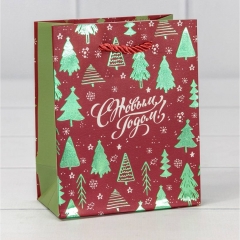Пакет 12х15х6,7см. "Новый год" 210г/м2, в асс, OMG Gift, Китай