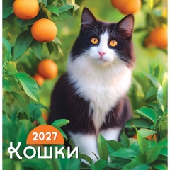Календарь перекидной на скрепке, картон, 23х23,5 см. "Кошки", РФ