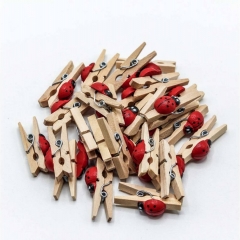 Цветочный аксессуар декор. прищепка "Божья коровка" 3,1 см (100 шт.), OMG gift, Китай