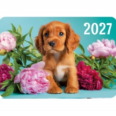 Карманный календарь 2027 "Собака",  РФ